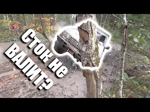 Видео: Стоковый Ленд Крузер 80 vs УАЗы на 35-х + Дефендер на 37-х. Выезд с OffroadSPb в Коваши