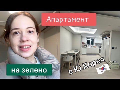 Видео: Купихме си АПАРТАМЕНТ на ЗЕЛЕНО . От ОГЛЕДА до НАНАСЯНЕТО 🏠