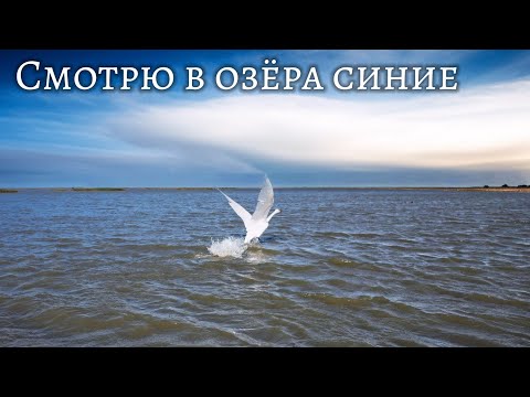 Видео: Смотрю в озёра синие… Полтавский район у деревни Бородинка♒