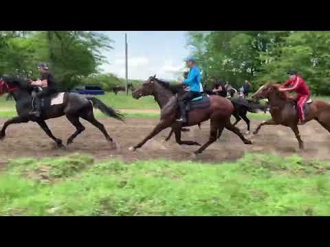 Видео: Кубок Кавказа 2023 1 этап🏇