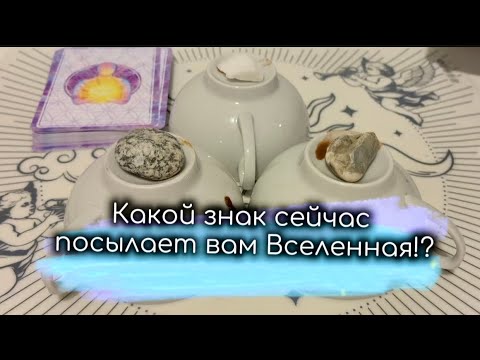 Видео: Выберите Кружужку☕️ Какой знак Вам посылает жизнь🌏. На что в данный момент стоит обратить внимание☀️