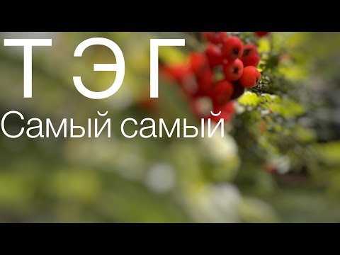 Видео: ТЭГ Самое самое