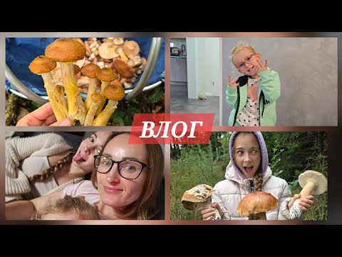 Видео: ВЛОГ:КАК МЫ ЗА ГРИБАМИ ХОДИЛИ/ШОППИНГ/НОВЫЕ ОЧКИ ДЛЯ МИШЕЛЬ 
