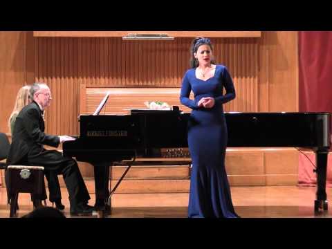 Видео: Стеценко  Плавай, плавай, лебедонько