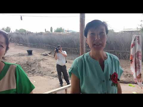 Видео: Еркин дарьия 1980