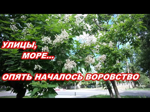 Видео: АНАПА 20.06.2020  УЛИЦЫ#МОРЕ#ОПЯТЬ ВОРОВСТВО