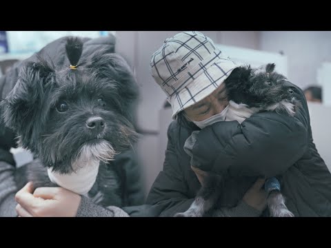 Видео: Щенок, который не может глотать еду