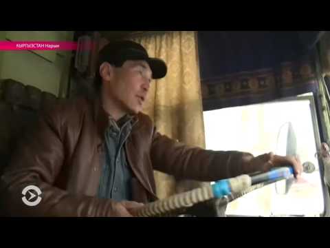 Видео: Троллейбус в Нарыне как спасение от шакала