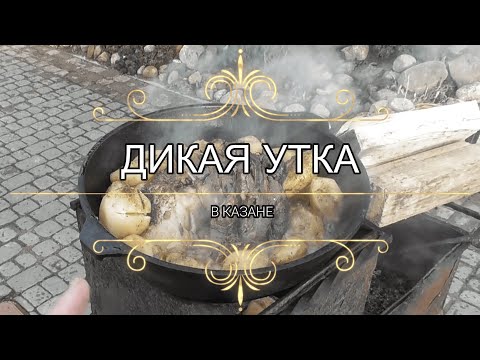 Видео: Дикая утка в казане