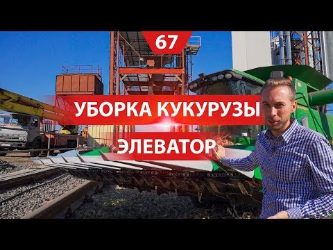 Видео: Уборка кукурузы. Жатки, комбайны и перегрузчик. Сушка и очистка зерна на элеваторе