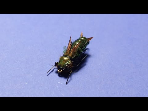 Видео: Личинка стрекозы (dragonfly larva) версия 1