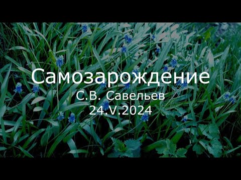 Видео: С.В. Савельев - Самозарождение
