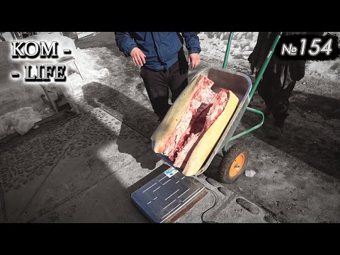 Видео: Серия без монтажа!