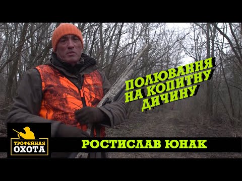 Видео: Полювання на Копитну Дичину | Трофейне Полювання №76