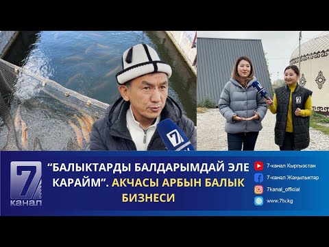 Видео: “БАЛЫКТАРДЫ БАЛДАРЫМДАЙ ЭЛЕ КАРАЙМ”. АКЧАСЫ АРБЫН БАЛЫК БИЗНЕСИ