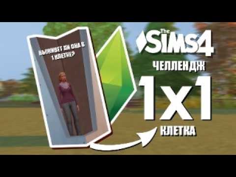 Видео: Sims 4: ЗАПЕРЛА КОЛЛЕГУ в 1 клетке и читерю | 1 tile challenge  Sims 4| 🏠🙃