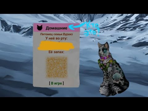 Видео: 🐾CatWar   |Кто такие ДОМАШКИ и с чем их едят🦐|        #кэтвар #catwar #говрек