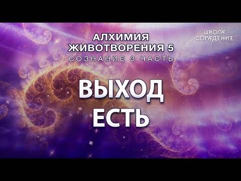 Видео: Выход есть #Гарат #Сознание3 #Алхимияживотворения #ЖивыеСеминары #школаСорадение
