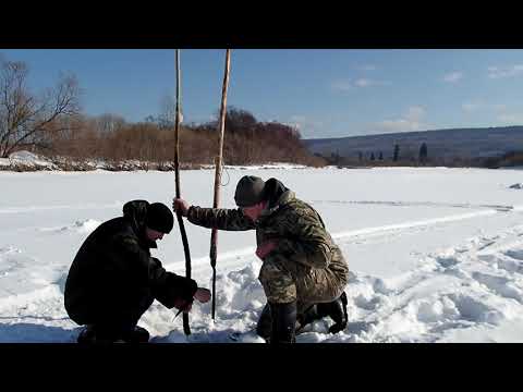 Видео: проверка тычек на налима
