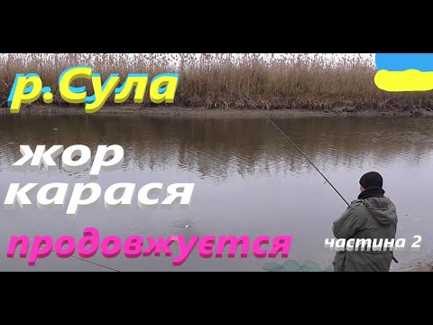 Видео: #Сула Фідер # Карась за карасем #РибачуЯкУмію