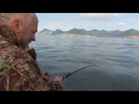 Видео: Рыбалка на Камчатке видео - ловля трески
