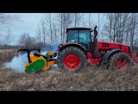 Видео: Новый трактор Беларус-3522 с мульчером раздирает в труху березы на поле