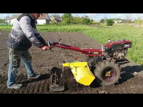 Видео: Прополюю мотоблокои з фрезою картоплю 2025 рік
