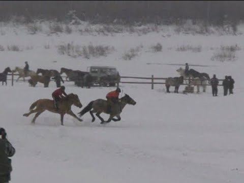 Видео: Ат сүүрдүүтэ Чымнаайы Таатта улууһа 2008 с