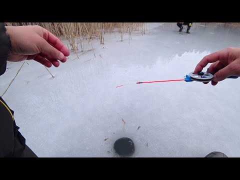 Видео: Зимова Риболовля 2024: Жерлиці на Щуку та Підводна зйомка Окуня!