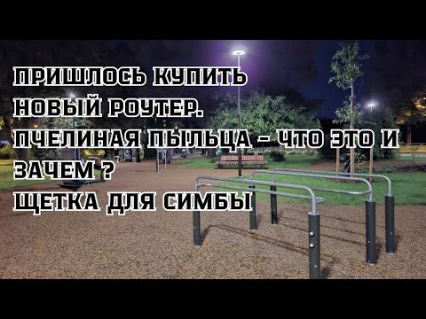 Видео: НОВЫЙ РОУТЕР, ПЧЕЛИНАЯ ПЫЛЬЦА, ЩЕТКА ДЛЯ СИМБЫ и ТАРЕЛКИ ДЛЯ КОТИКОВ, А ЕЩЕ СИЛЬНЫЙ ЛИВЕНЬ.