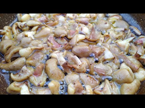 Видео: Маслята, жареные в сливочном масле