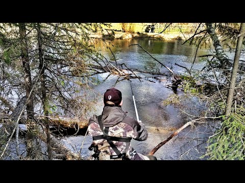 Видео: Рыбалка на боковой кивок