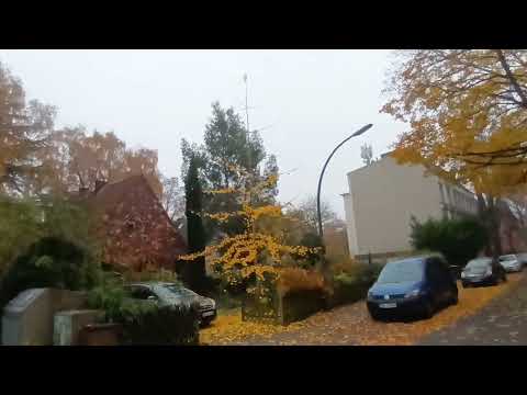Видео: Жизнь в Гамбурге, 7 ноября, прогулка #hamburg #жизньпрекрасна 