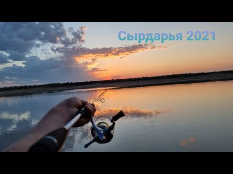 Видео: На Сырдарью за Жерехом!!!
