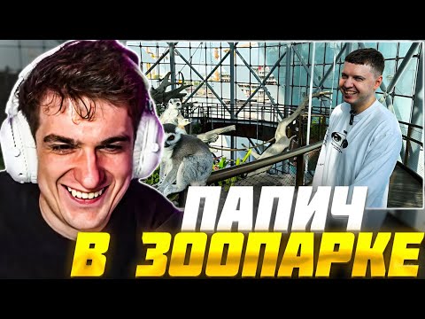 Видео: ЭВЕЛОН СМОТРИТ ПАПИЧА: ДУБАЙСКАЯ АВАНТЮРА 9 - В мире мальков ( ͡° ͜ʖ ͡°) / Evelone Реакция Папич