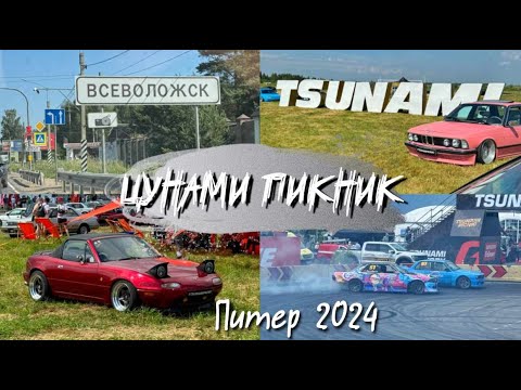 Видео: ЦУНАМИ ПИКНИК 2024/из Москвы в Питер/Великий Новгород