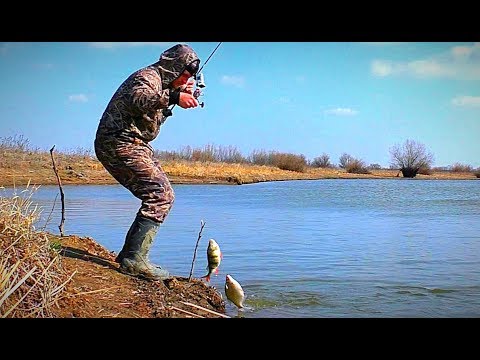 Видео: ВОТ ЭТО ПОВЕЗЛО. ВЕСЕННИЙ ЖОР КРУПНОГО КАРАСЯ и не только. Опять повезло на новом месте.