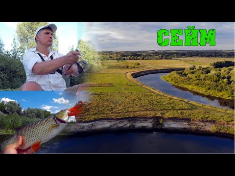 Видео: СЕЙМ ЖИВ! СПЛАВ по реке! Ловля голавля! Уха и всякие вкусности)! Природа великолепная! Часть 1!