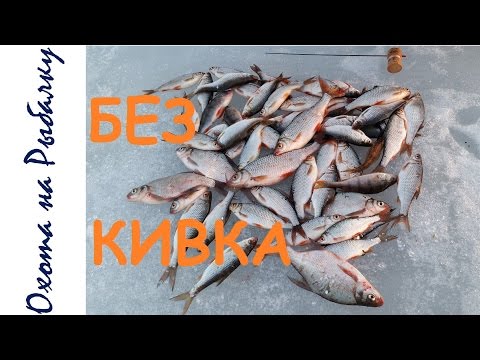 Видео: Зимняя ловля на безкивковую удочку первые ощущения от снасти Безмотылка #2
