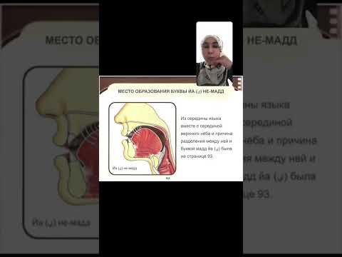 Видео: 4-МАХРАДЖ САБАҒЫ Тілдің ортасы. 1махрадж/3 әріп джим, шин, йә