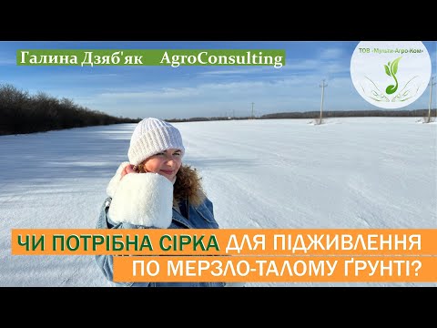 Видео: СІРКА | Значення для озимих культур | НОРМИ внесення