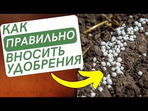 Видео: Как ПРАВИЛЬНО вносить ФОСФОРНЫЕ УДОБРЕНИЯ при посеве яровых и озимых культур с семенами в рядок.