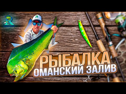 Видео: Рыбалка в Эмиратах . Фуджейра (Оманский Залив)