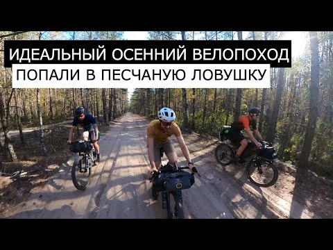 Видео: ИДЕАЛЬНЫЙ осенний ВЕЛОПОХОД | 140км по ПЕСКУ за ОДИН ДЕНЬ