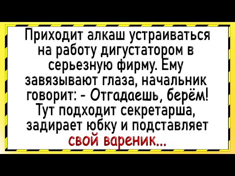 Видео: Как мужику пришлось лизнуть! Сборник свежих анекдотов! Юмор!