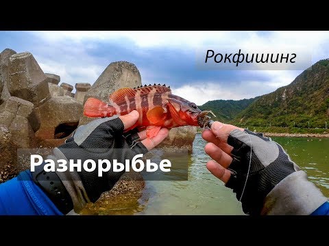Видео: Восточно-Китайское море 东海, Тайвань. Рокфишинг, разнорыбье, микроджиг. 2017/09.