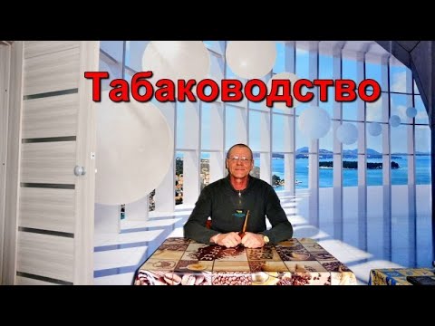 Видео: Табаководство: Дали совет, сделать так! Результат???