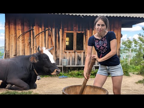 Видео: Тяжелая  работа руками в горной деревне на коровьей ферме. Делаем 3 вида сыра за один день