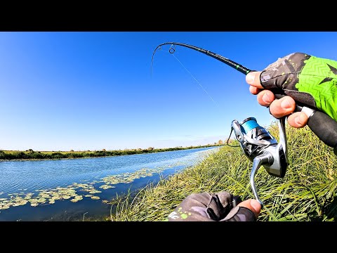 Видео: Осенняя РАЗДАЧА на СПИННИНГ!  Рыбалка с берега на малой реке. Ловля окуня и щуки осенью