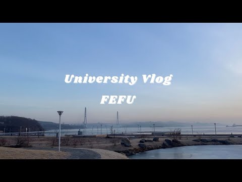 Видео: неделя из жизни: двфу,пары, масленица